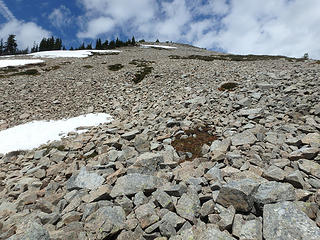 High ridge talus