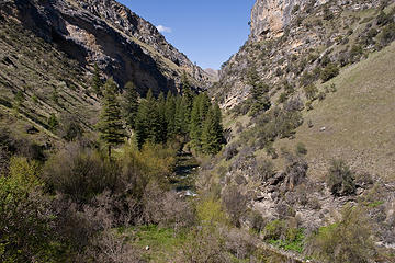 View along the Rapid River Trail, Seven Devils Mountains, Idaho.