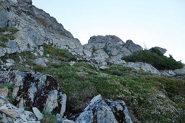 Easy terrain approaching the ridge