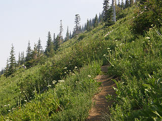Crystal Peak trail.