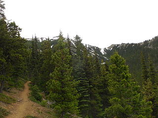 MtTownsend-North summit ridge in the distance, with beautiful pines in the foreground
