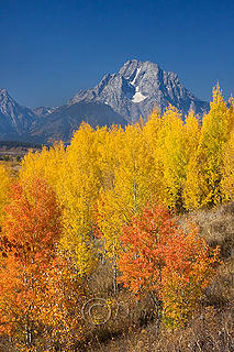 Mount Moran in Fall