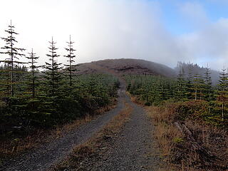 Recently clearcut Larch Mtn.