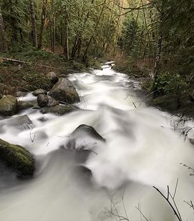 The North Fork Wallace River 1/24/20