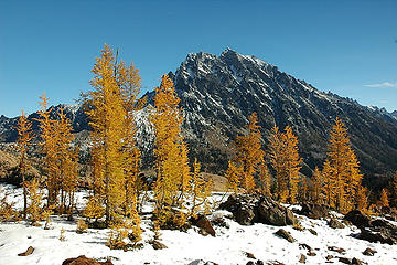 Yet another Stuart & Larches Shot