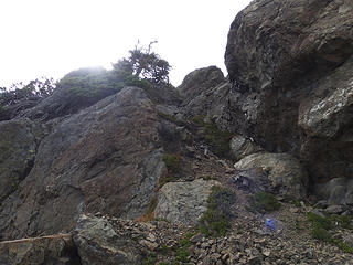 Route A follows well beaten trail to a gully where it follows switchbacks toward the right side of the gully then back to the left towards this section that ascends rock, roots, and trees to the saddle