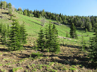 Heading up out of the Upper Eagle Basin.