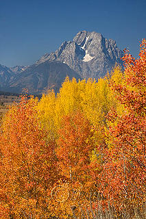 Mount Moran in Fall