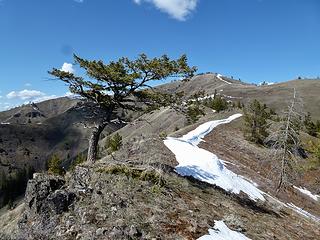 Camp Howard Ridge summit ahead.