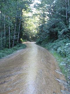 Oiled road