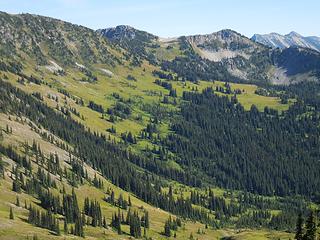 Meadows above Chuchuwanteen Creek