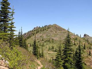 Noble Nob with trail visible on side of hill