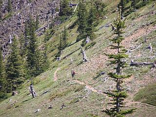 Hiker on the way up to Noble Nob