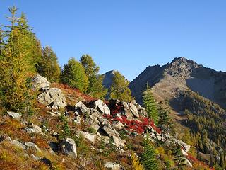 Okanogan-Wenatchee National Forest