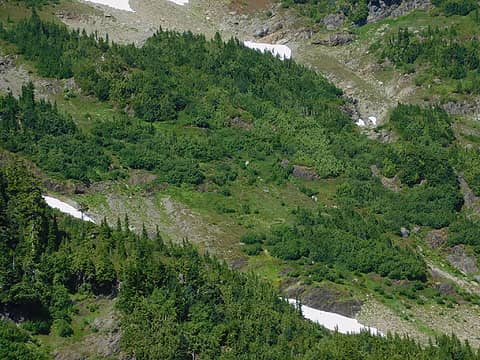 brushy slopes to maneuver through