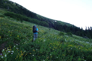 Upper N. Fork Sauk trail scenery