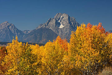 Mount Moran in Fall