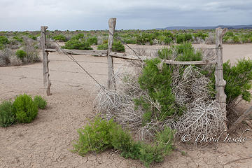 One of the gates