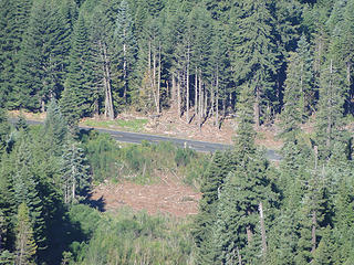 View of road from near Crystal Peak lookout site.