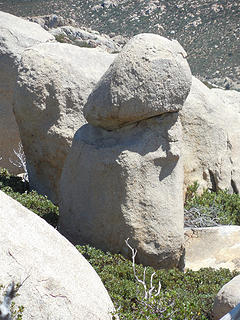 Penis rock