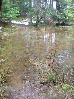 submerged trail near Twin Lakes in Moran State Park on Orcas Island, San Juans, Washington