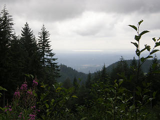 Some views walking up East Tiger road.