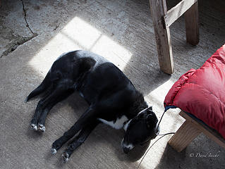 Cool floor on a hot day