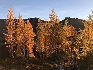 Chiwaukum Larches 10/1-10/3/20