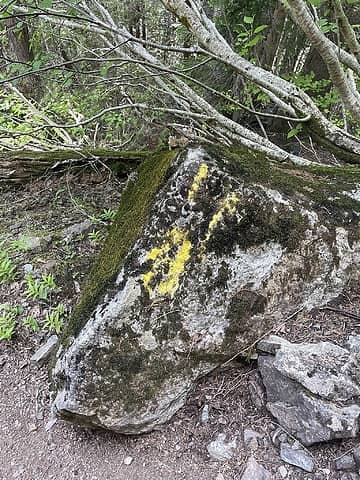 everyone can probably imagine what a rock tagged with yellow paint looks like but here's a picture anyway