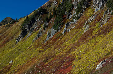 Slope of Portal Peak.