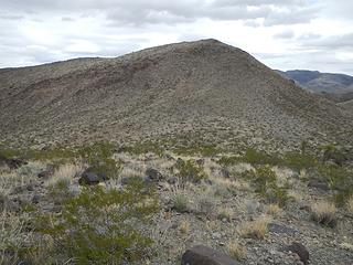 "Yucca Knoll"