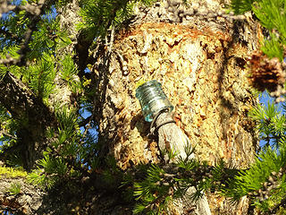 Old glass insulator on Milton, one of the few relics left.