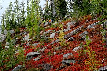 More bright meadow hiking