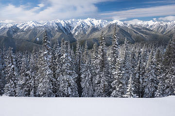 Hurricane Hill Trail