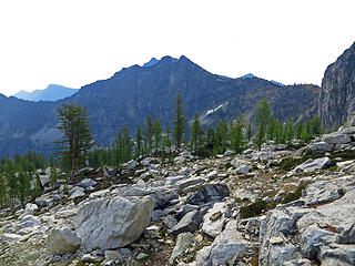 Rennie from upper basin.