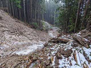 View down from switchback above the waterfall (hidden behind bank).  Map: location 6