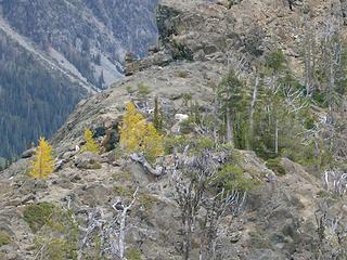 Goats above Headlight Basin