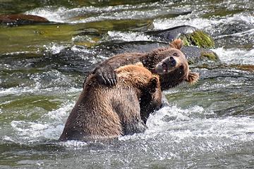 Katmai National Park