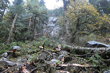 Rocks fell from the cliff above taking out trees below. Photo by Bill Davis.