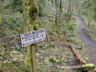 Talus junction on West Tiger 3 trail.