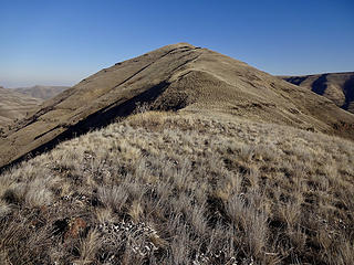 Bracken Point.