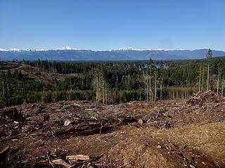 Clearcuts allow for views at least.