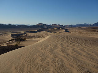 the dune fields; Ibex Dunes Death Valley NP, CA