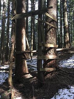 We found a hunters hideout approximately 3 miles up Raging River trail.  Also Called Snoqualmie point park. This is Exit 27 off of I-90.