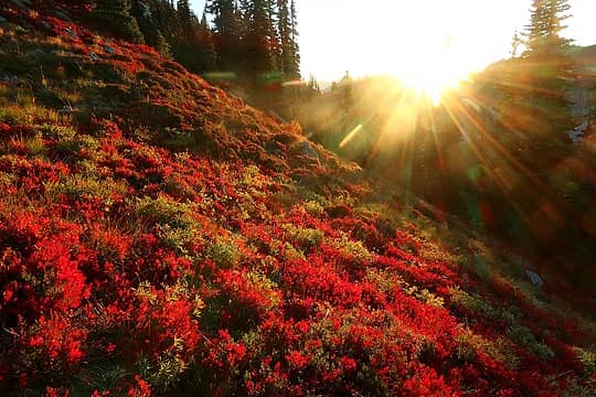 Mac Peak sunrise