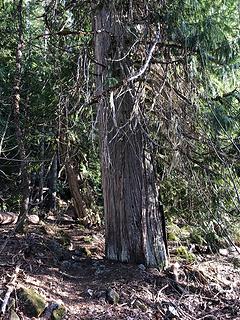 Twin Lakes Trail 5/3/19