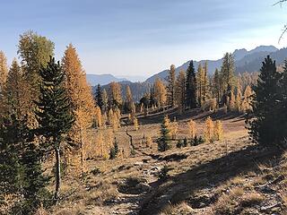 Summit Wilderness Trail that goes from Stehekin to a junction to Prince Creek