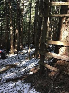 We found a hunters hideout approximately 3 miles up Raging River trail.  Also Called Snoqualmie point park. This is Exit 27 off of I-90.