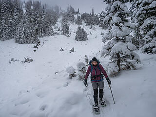 Dropping down from Bear Gap