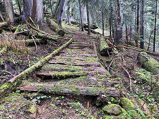 Bridge decay